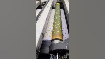#Reggiani rotary Printing Machine #Print 2 colours Design ||