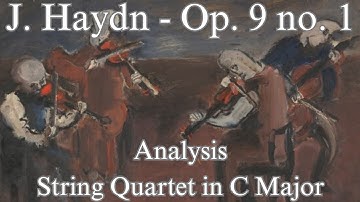 Analyzing Haydn