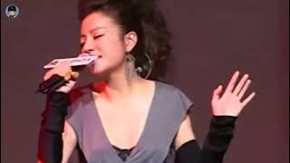 Vicki Zhao Wei Triệu Vy 赵薇 - Thành phố sông / River city 江城子 - live in 2009