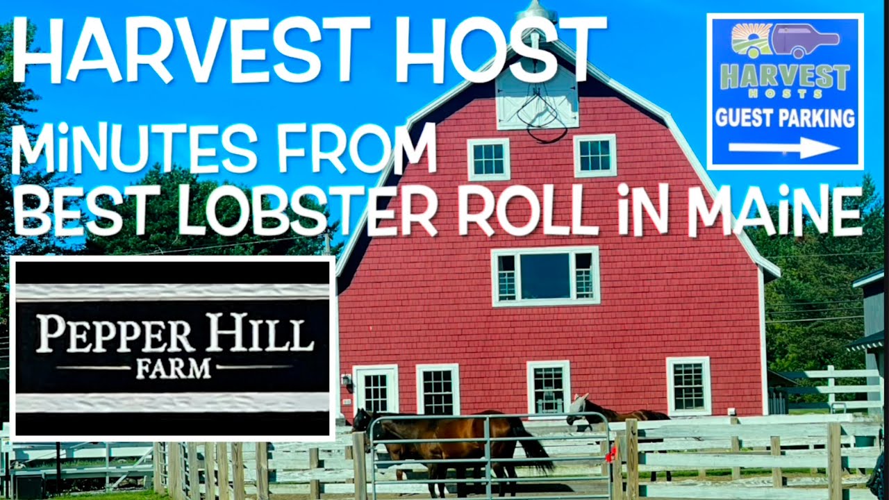 Pepper Hill Farm South Thomaston, Maine Harvest Host Review YouTube