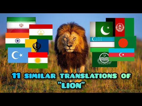 11 similar translations of "LION". World languages / ترجمه شیر / aslanın çevirisi  / ترجمة الأسد