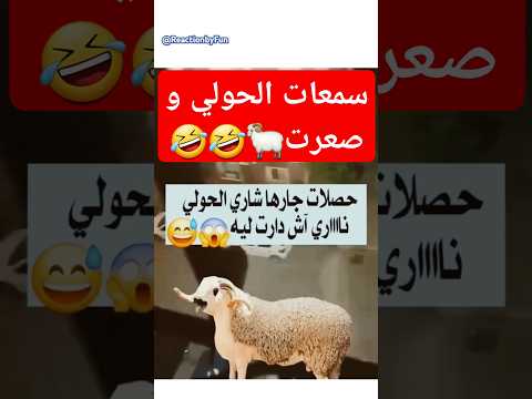 سمعات صوت الحولي و صعرت Funny اكسبلور ضحك الجزائر المغرب المغاربةالمقيمينبالخارج المغاربة 