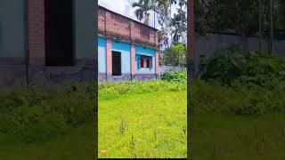 🌿 প্রকৃতির মাঝে হারিয়ে গেলে মনটা যেন নতুন করে বাঁচতে শেখে।নীল আকাশ, সবুজ গাছ আর শান্ত বাতাস।