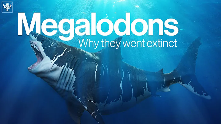 The Truth Behind Why Megalodon Went Extinct | Encyclopaedia Britannica