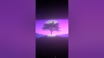 سورة الأحزاب|56|القارئ:#محمد_اللحيدان #قران #quran #قران_كريم #تلاوة #تلاوة_هادئة #آية #تلاوة_خاشعة