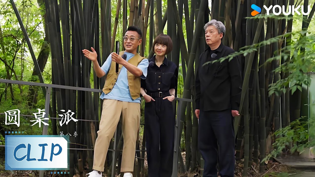 “种”在自然里的建筑：窦文涛鲁豫带你走进刘家琨，聆听一座会呼吸的艺术博物馆！ | 圆桌派 第八季 | 优酷纪实人文 YOUKU DOCUMENTARY