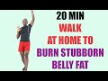 20 Minute At Home Walking Workout to Burn Stubborn Belly Fat 🔥 200 Calories 🔥