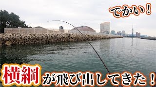 国技館裏のテトラ付近から大物！初の横綱が飛び出してきてビックリ・・・