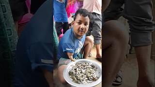 কচুরিপানা তুলে মাছ ধরলাম #streetfood #shorts #dallyblog #vairalshort #foryou
