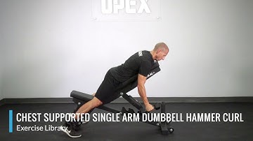 Chest Supported Single Arm Dumbbell Hammer Curl - OPEX Exercise Library