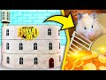 Hamsters VS Fort Boyard | 3 Storied Maze For Hamsters DIY