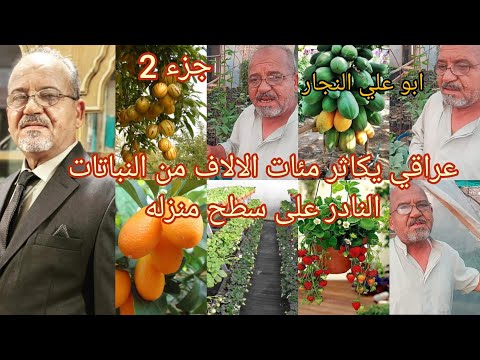 الزراعة على سطح المنزل العراق ابو علي النجار جرب زرع أهدى آلاف الشتلات وبعدها تحولت الهواية لمهنة