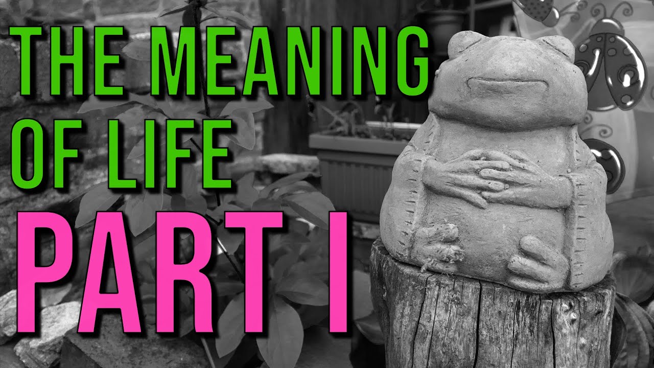 What is the Meaning of Life, P1 - by Ryan Pollock (Experience Machine, Nozick, and Life's Meaning)