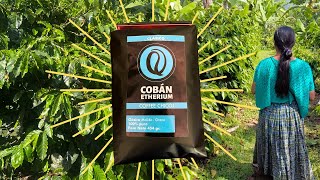 Guatemalan Gold: Unveiling Etherium Coffee with a Chicoj Coop Tour (Overland Adventure Travel)