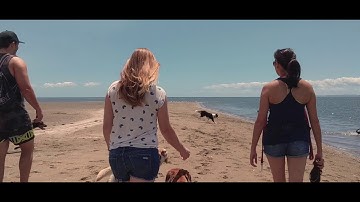 Zhiyun Smooth Q and Pixel 2 at Nudgee beach