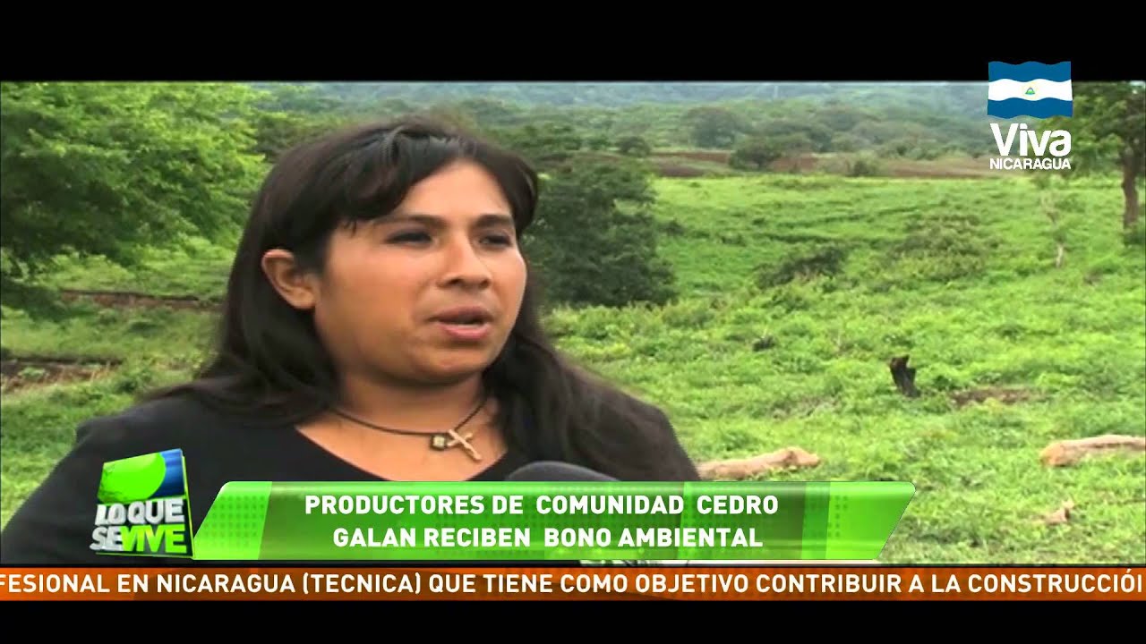 Productores de Cedro Galán reciben programa de bono ambiental
