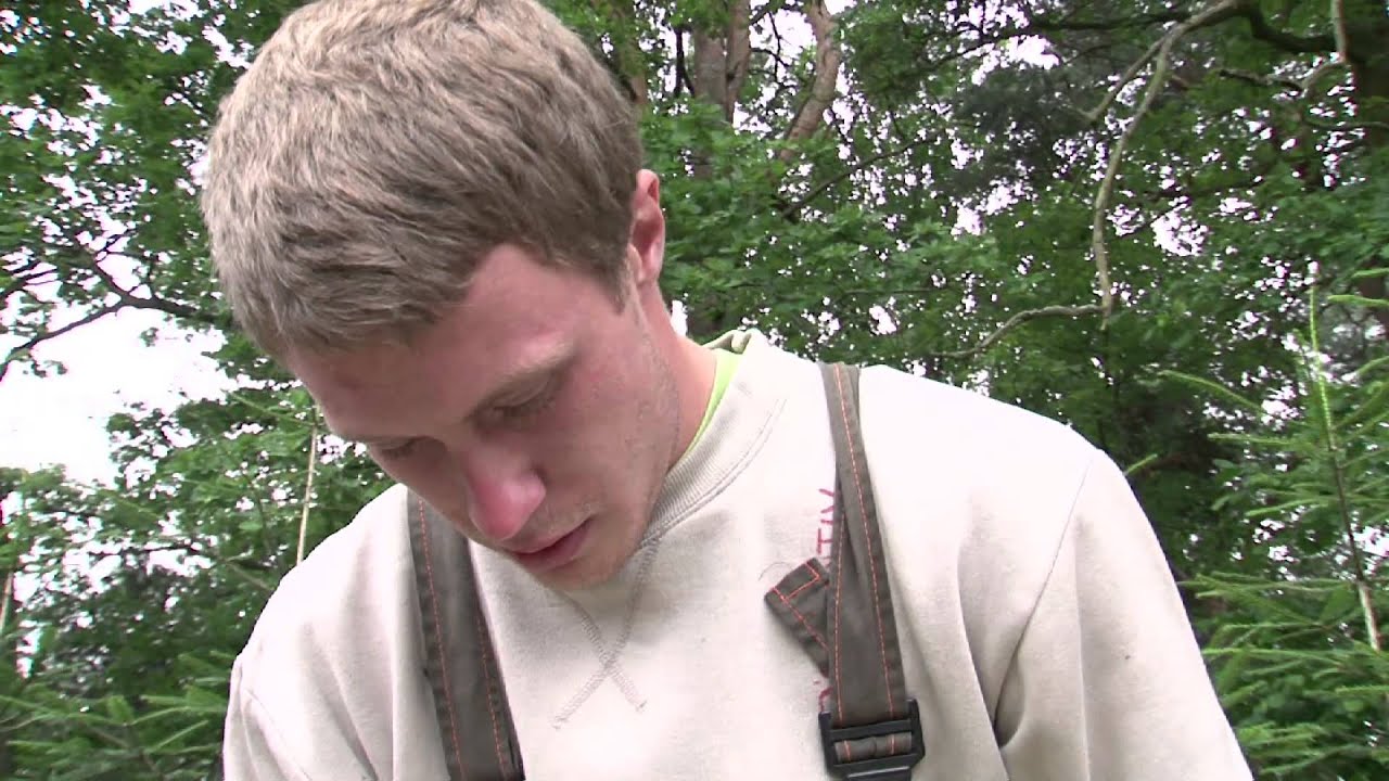 Výroba sazenic v lesních školkách