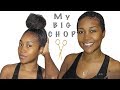 Big chop | Heat/Color Damage | My Healthy Hair Journey Begins