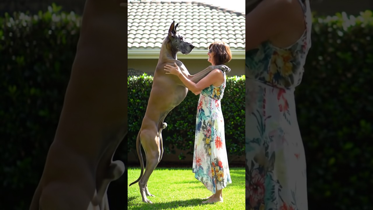 The best couple love Dogs 💝 