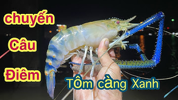 Lâu Ngày Quay Lại Điểm Bến Đò Bỏ Hoang Câu Tôm Càng Xanh Quá khủng  @Xuanthuong91