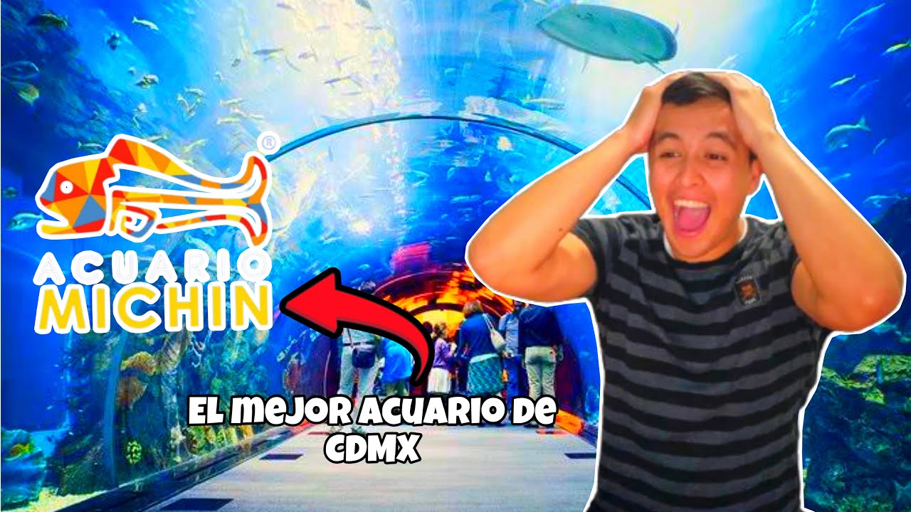 Fui al Acuario Mas Famoso y Grande de México / Acuario Michin - YouTube