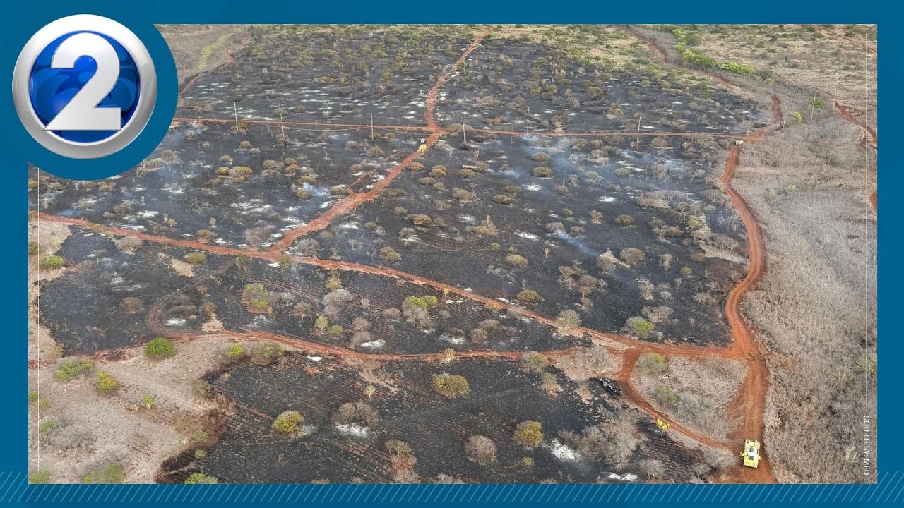 Brushfire near Kapalua Airport 75 percent contained