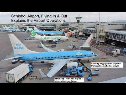 Schiphol Airport Flying in & out