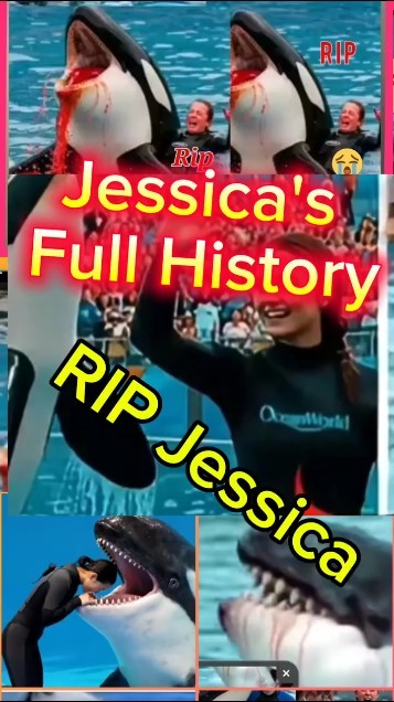 Full Jessica's History in short. Rip😭😭 jessica. #jessica #jecika #gessica #jesica