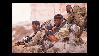 Operation Orchard: The Mossad & Sayeret Matkal (documentary)