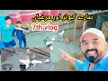 Sub pigeons ko bahir khula aj  7th vlog   daily vlogs  irfan mughal vlogs 