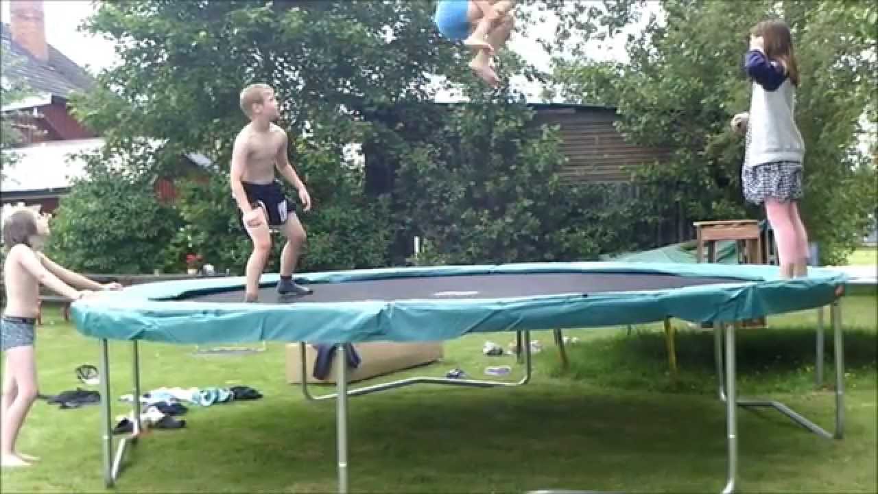 new tramp champion STUDSEXPERTEN