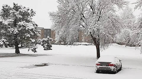 Snowfall Minnesota | Winter 2022