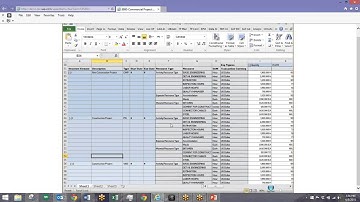 SAP Commercial Project Management for Construction Engineering