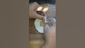 Chicken Momos 
