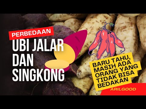 Ubi Dan Singkong Termasuk Buah Atau Sayur