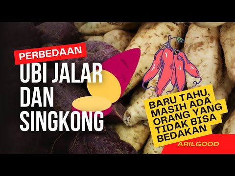 Video: Apakah ubi dan ubi itu sama?