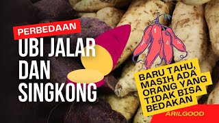 PERBEDAAN UBI DAN SINGKONG