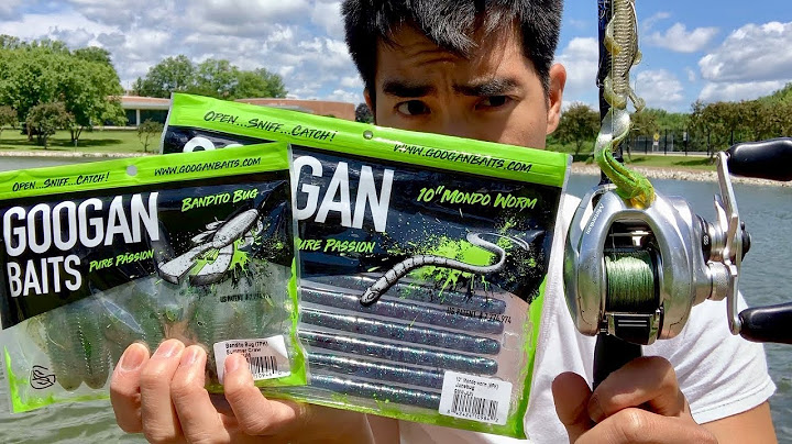 Fishing with GOOGAN BAITS!!! (The TRUTH -- Unbiased Lure Review)
