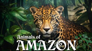 Incredible Speed ? Watch As Cheetah Chases Antelope Through Savannah | 4K Animal Documentary