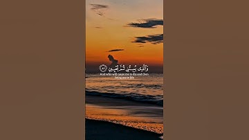 سورة الشعراء الأية ٧٨  القارئ : ياسر الدوسري