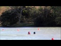 VideoClip473