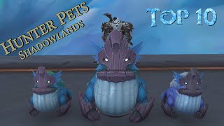 10 Coolest Hunter Pets to Tame in Shadowlands 10 Coolest Hunter Pets to Tame in Shadowlands