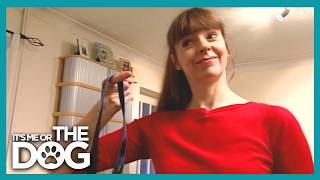 Training 112lb Dogs to Walk with One Finger | It's Me or the Dog