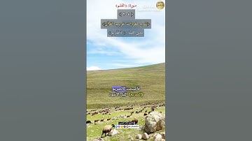 معنى كلمة :(كالصريم)٢٠٤-شرح مفردات غريب القرآن/سورة القلم ،الشيخ خالد الحرمي.