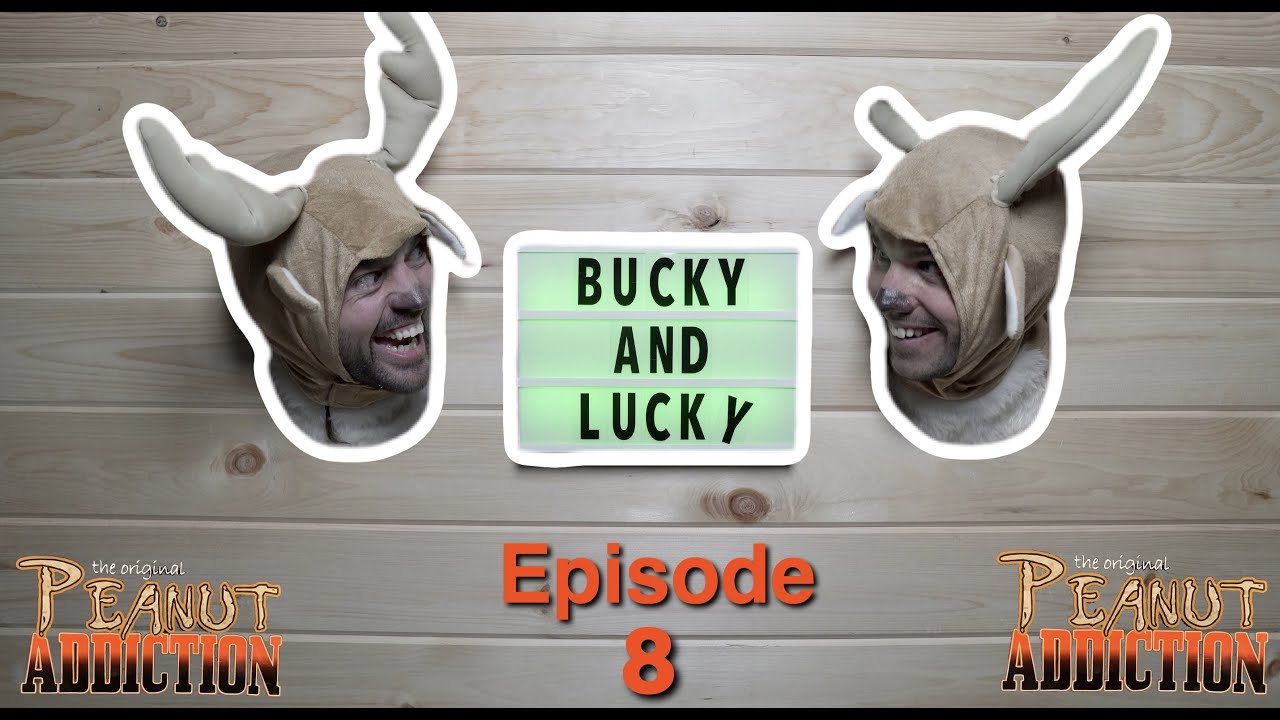 Top 5 Ways To Attract Whitetail Deer YouTube