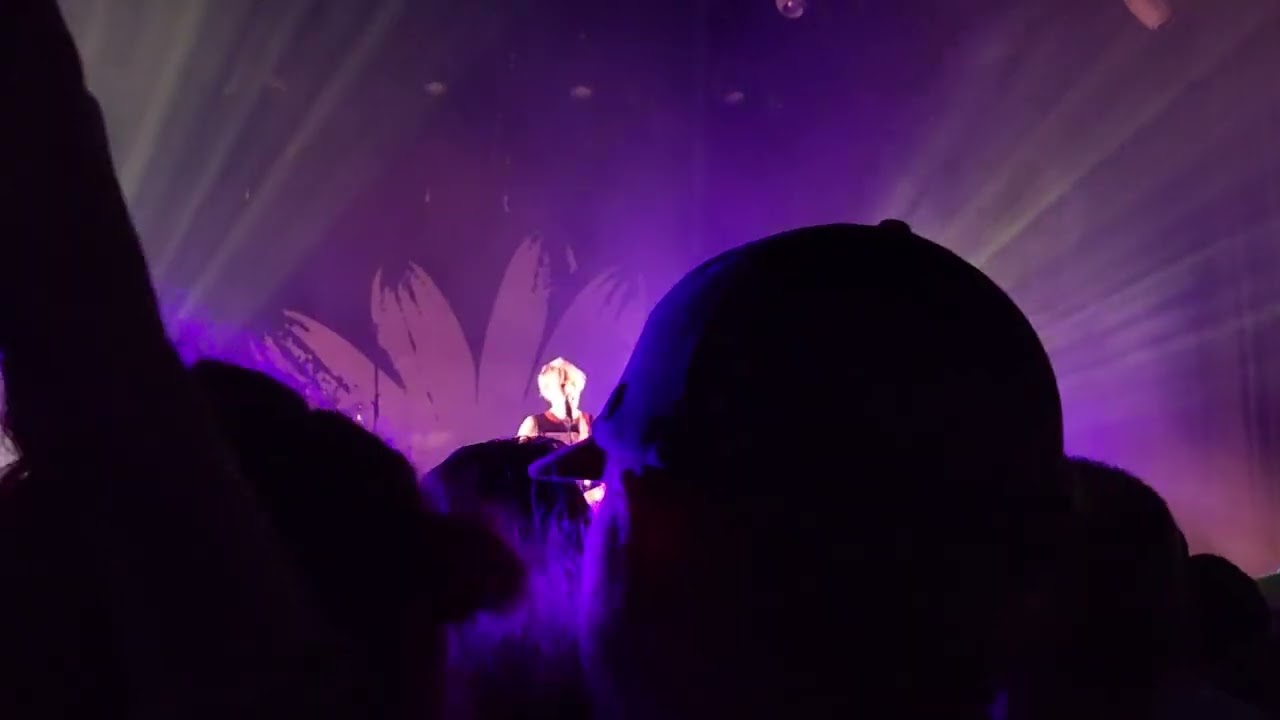 promise me - badflower (the fillmore 9/20/2024)