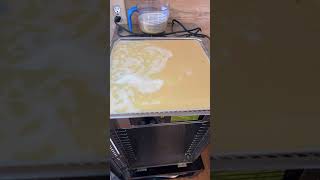 Commercial dehydrator for eggs #raisingquails