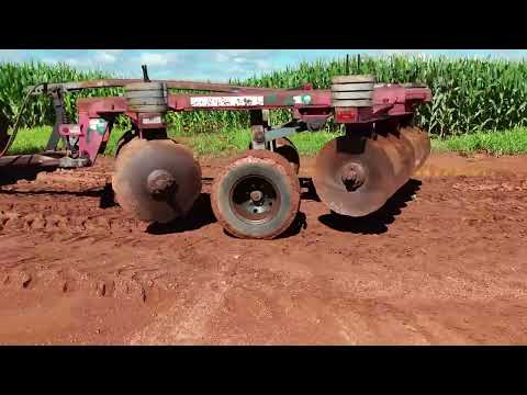 LOTE 810