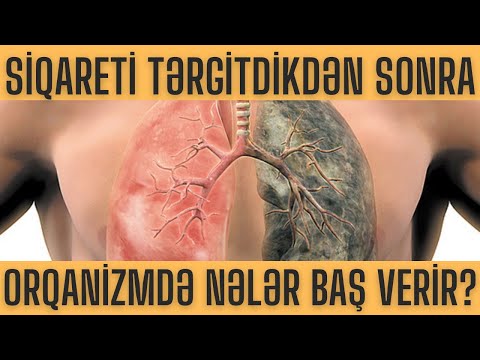 Video: Siqaret Necə Yarandı?