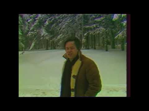 Alfi Nipič -